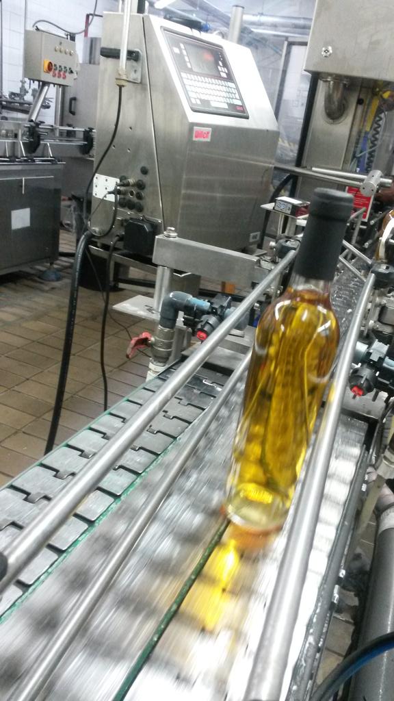 OrangeRiverWine's tweet photo. #botteling #new #strawwine #2015 looking golden and good.@OrangeRiverWine @emilejoubert https://t.co/1JMcPkeKMM