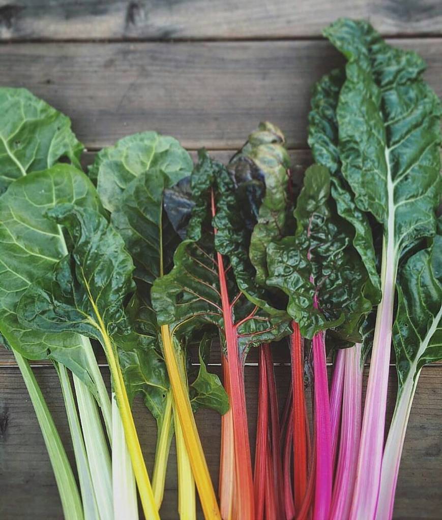 Chard photo by <a href="/urbanfarmstead/">Leanne Garcia</a> ift.tt/1MEUjU1