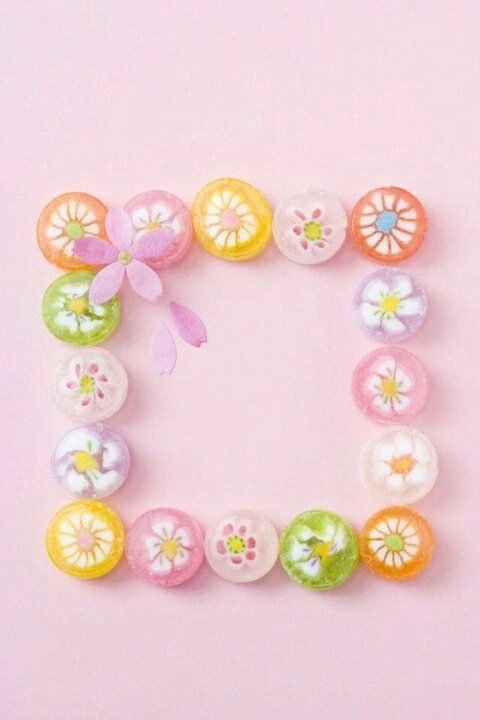 꽃봇 (@blossoms_bot) on Twitter photo 