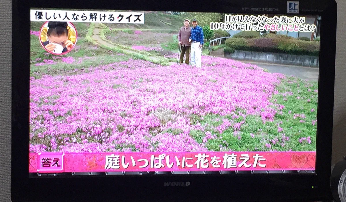 目が見えなくなってしまった妻のため・・夫がとった行動が感動的！