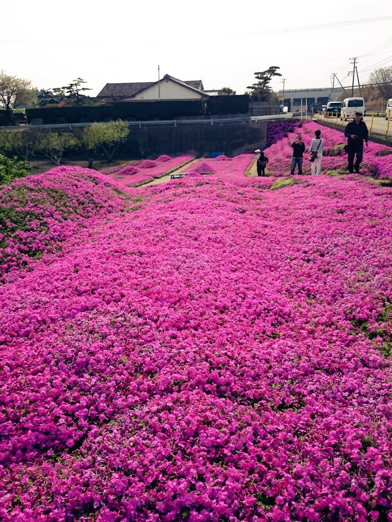 目が見えなくなってしまった妻のため・・夫がとった行動が感動的！