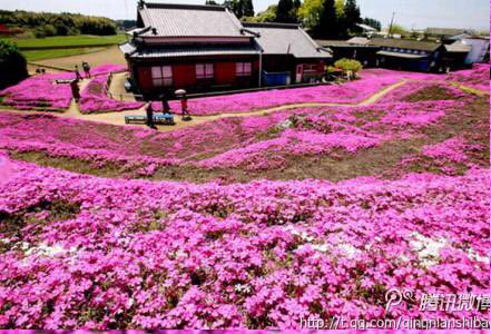 目が見えなくなってしまった妻のため・・夫がとった行動が感動的！
