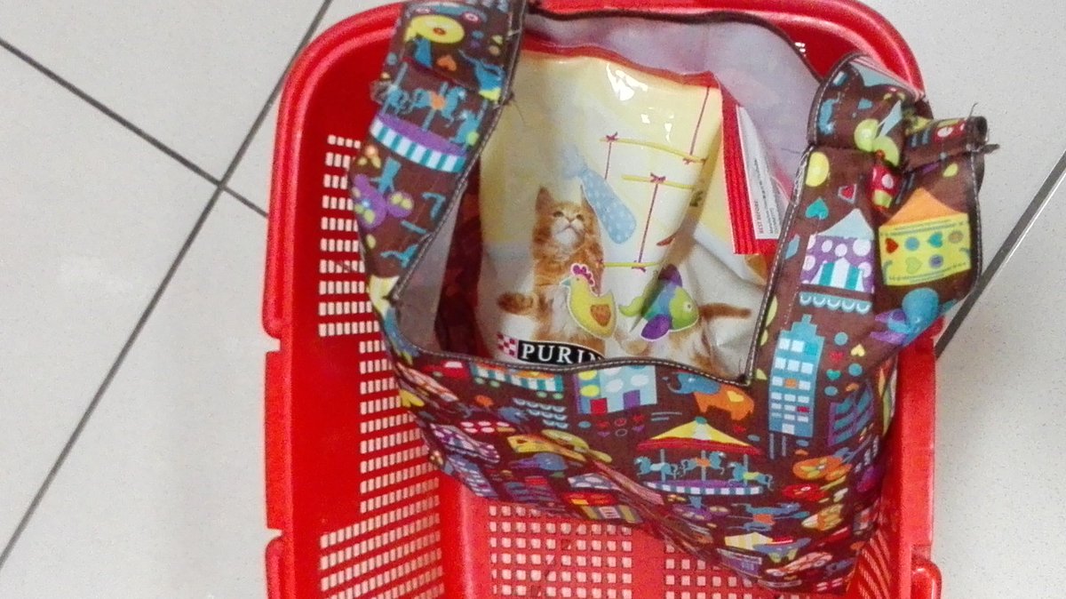 windsmiaw's tweet photo. Beli mknan Unyil & no kantong keresek. Tas blnja hand&selfmade,msh ksr jahitnya😸😻 #Pay4plastic #dietkantongplastik https://t.co/3XXPRfJ9Jr