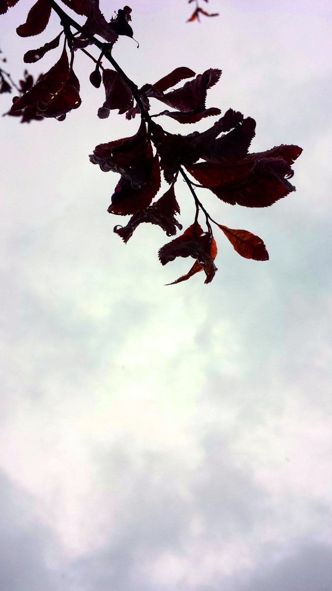 an_imaginary's tweet photo. Etwas gutes kann man aus diesem Regenwetter ziehen: Schöne Fotos ! https://t.co/6kuvarojKJ https://t.co/yV5IeoFrTF