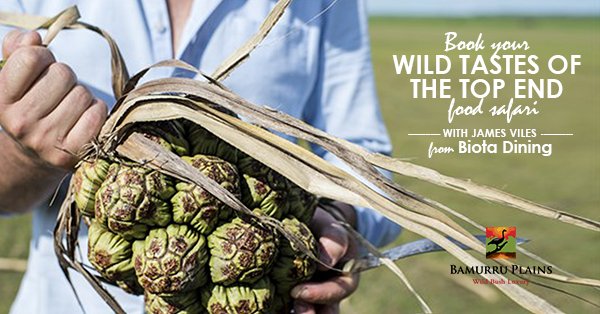 #Safari #gather #dine with <a href="/Biota_Dining/">James Viles</a>'s James Viles on our new food safari at #Bamurru! bit.ly/WildTastes