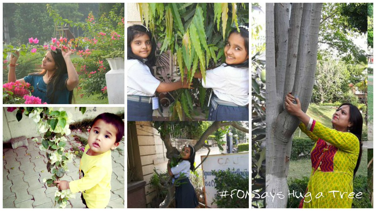 FellowsOfNature's tweet photo. Entries for #FONSays Hug a Tree. Stay tuned to know who the winners are! @MeenakshiWriter @LuvyaJoshi @22minalmehta https://t.co/9rD3kP7xgQ
