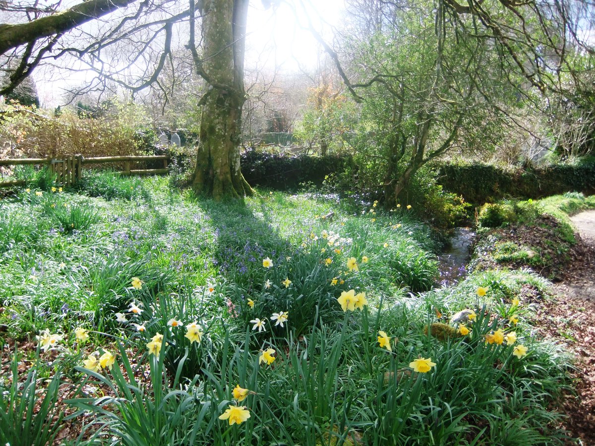 Heard first cuckoo yesterday in Houndtor Vale. Swallows & skylarks too. Spring has definitely arrived on #dartmoor!