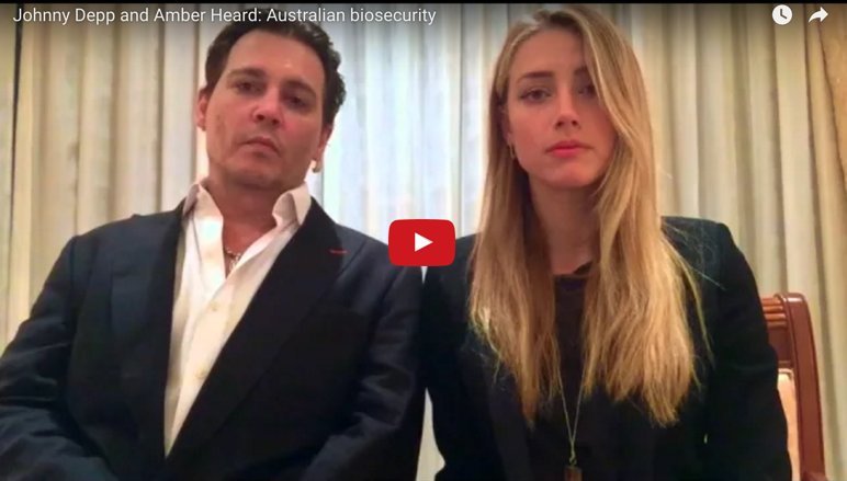 worldnewsdotcom's tweet photo. #JohnnyDepp and #AmberHeard: #Australian #biosecurity

https://t.co/GuXsdfzcjG

#WarOnTerrier #DeppDogs #Australia https://t.co/MxFToLJhYx
