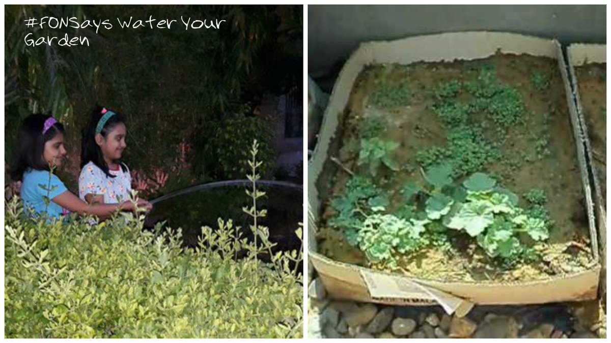 FellowsOfNature's tweet photo. @MeenakshiWriter @dixita011 Thanks for participating #FONSays Water your Garden and Vist a Nursery entries. https://t.co/Sfjp0EZfRX