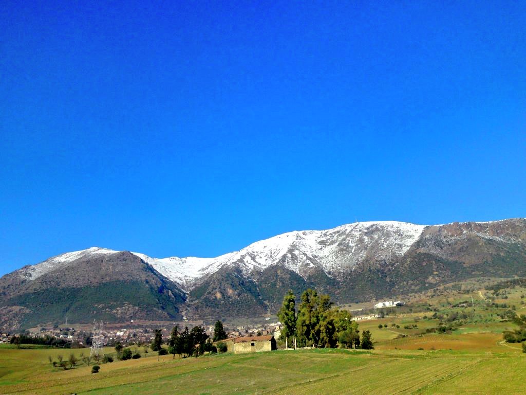 RappelduJour's tweet image. #Algerie