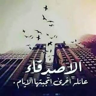 ممغلق (@123_11_123) on Twitter photo 