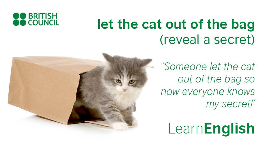 Let The Cat Out Of The Bag synonyms - 436 Words and Phrases for