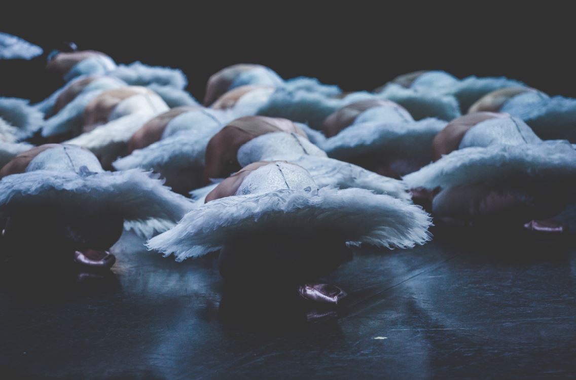 TheAusBallet's tweet image. Cygnets from Baynes' Swan Lake delivering a delicious #TutuTuesday 💙 #SwanLake