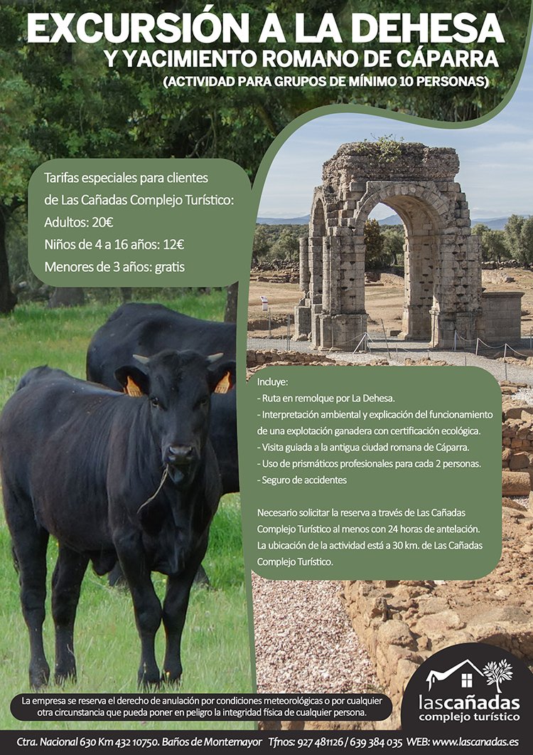 Camping Las Cañadas tweet media