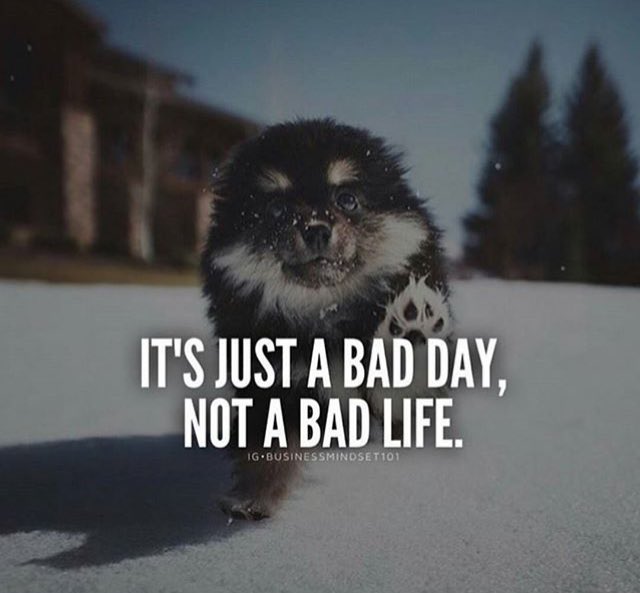 HotToddi's tweet photo. Just for you @riley_jojo #goodday #twittercontacts https://t.co/I8Z8XeFXOI