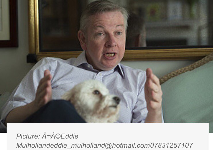 JohnFinnemore's tweet photo. Michael Gove demonstrates by how much he plans to have his dog enlarged. https://t.co/dElGztYplm