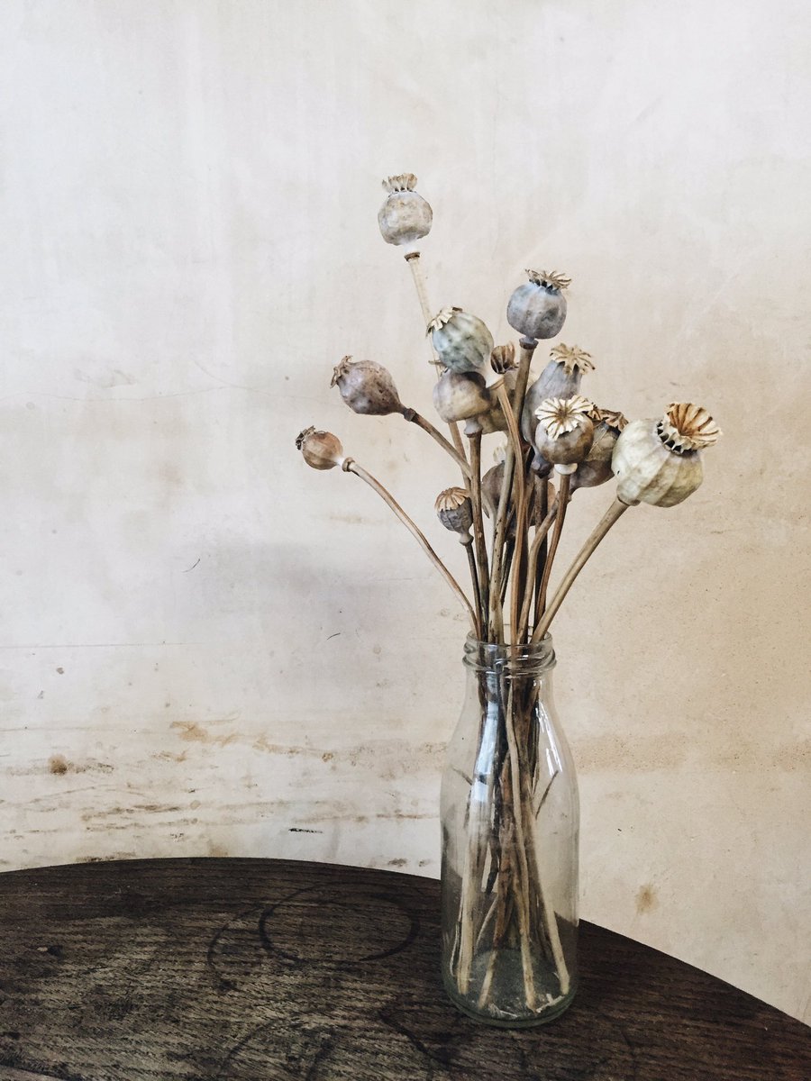 Cafe_Rust's tweet image. 🌾