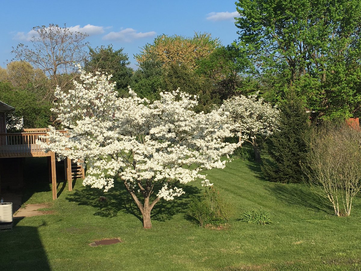 _sabillon's tweet image. 