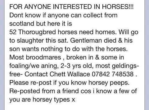 Cath Wills (@17_cath) on Twitter photo 