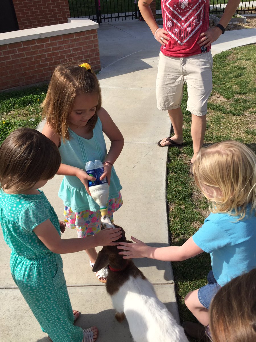 InmanSchools's tweet image. Special visitor today  #prek #animallearning #prek  via @jcaseprek