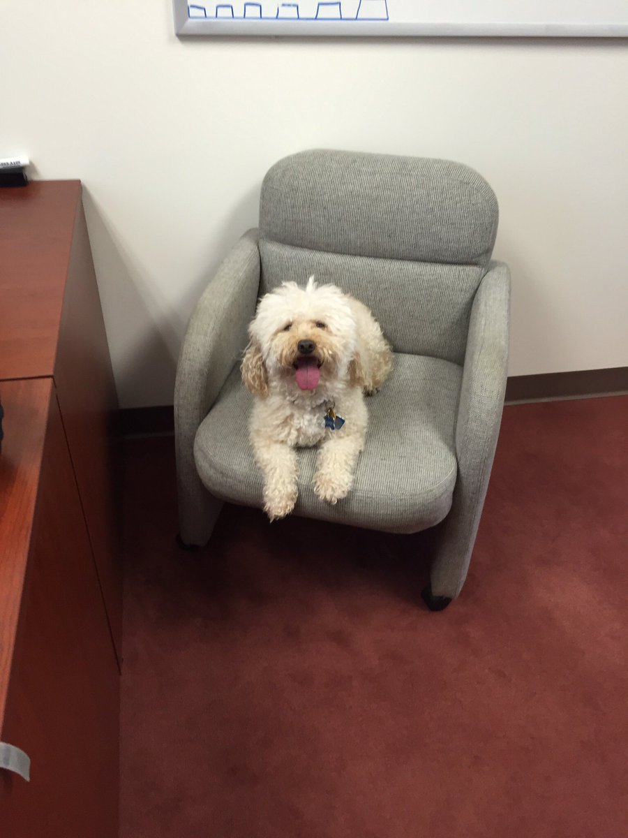 jeff_davey's tweet photo. Hooper!!! https://t.co/9dnOIYVAOX