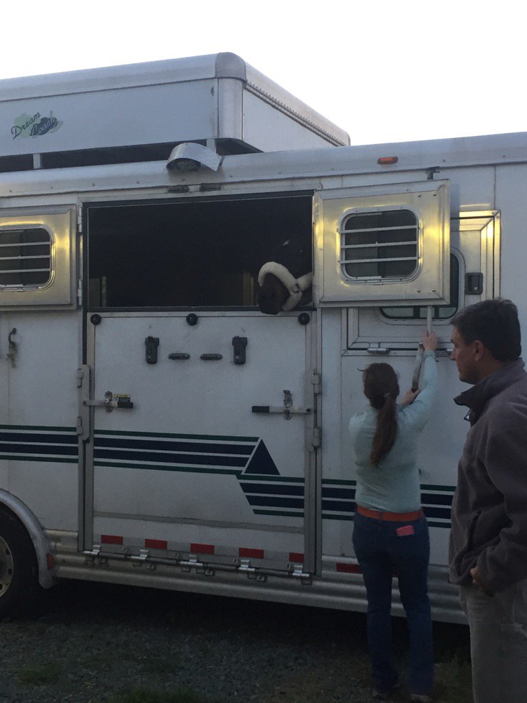 KimSEventing's tweet photo. Sparky is all loaded up and we are on the road to Rolex! #RK3DE #FernhillFearless https://t.co/DJZYNg9vcL