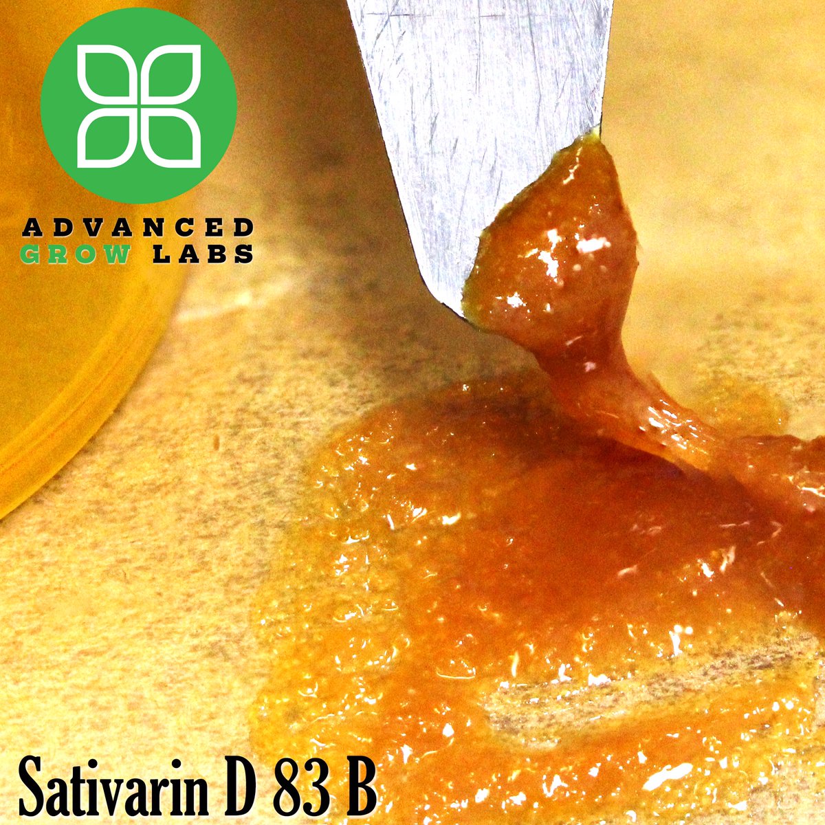 agl_ct's tweet photo. #AdvancedGrowLabs freshest #extract is Sativarin D 83B. Great for patients looking for a #sativa concentrate! #AGL https://t.co/ui2douzgxl