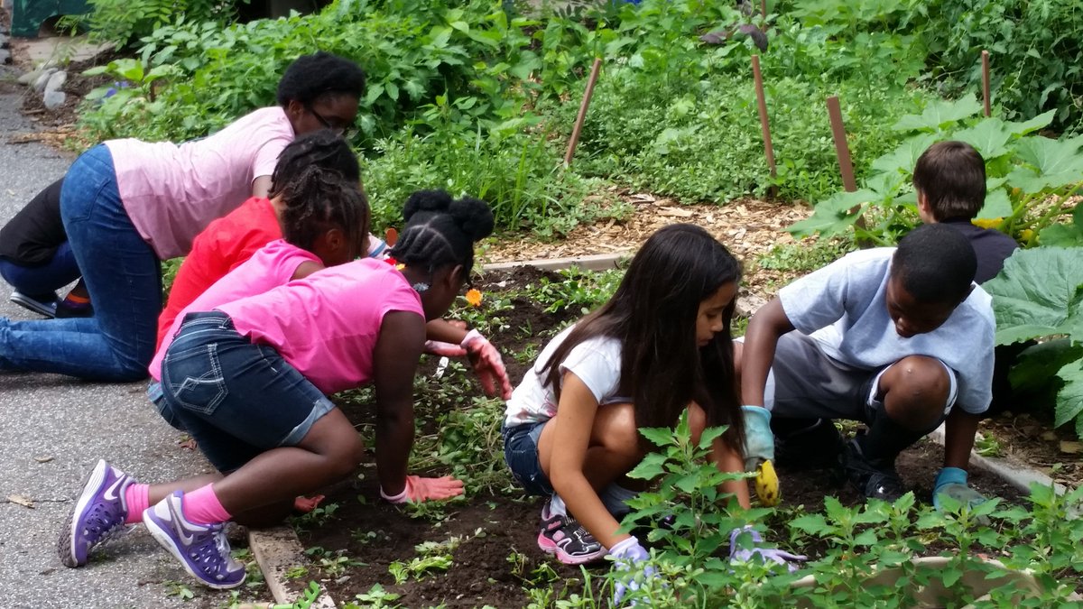 iPickPottstown's tweet photo. #Pottstown community gardens provide healthy eating, lessons for youth https://t.co/yIU3f4RANW @Mosaic_CLT https://t.co/WYkBxgJ7Xm