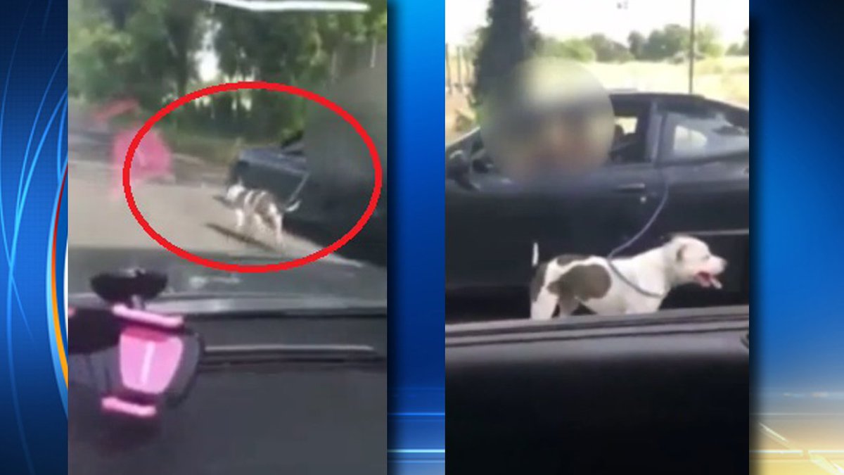 Woman caught on camera walking dog while driving a car bit.ly/1XVanl3?utm_me… https://t.co/RZJ1MepTto
