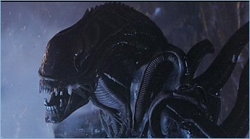 midwestbookworm's tweet photo. Happy #alienday426! https://t.co/H7DN7oovHr