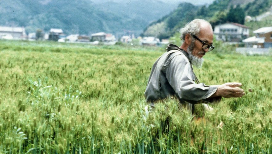esweedcontrol's tweet image. RT @OrganicLifeMag "This farmer refused to plow his land~deserves a round of applause https://t.co/TubEhxDfYe" ow.ly/4n7BCg