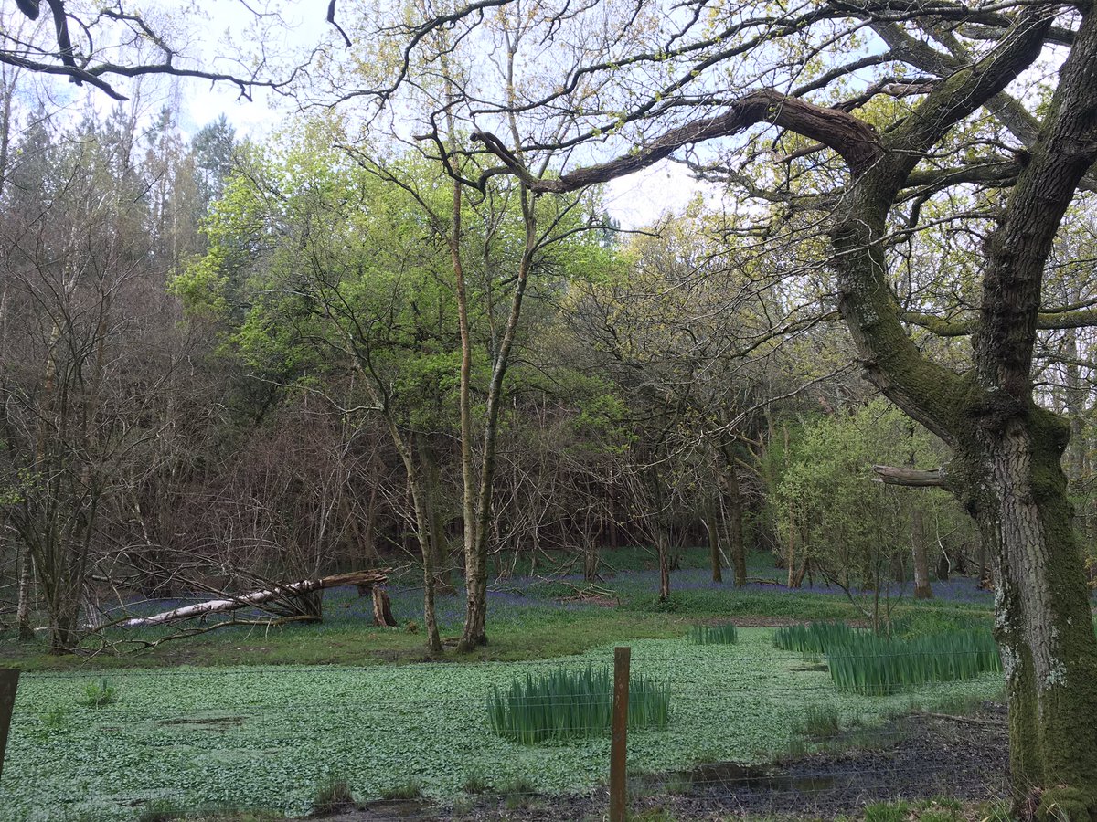 UTRunning's tweet image. Getting lost isn't always so bad when trail running - next run is May 22nd - #UKRunChat #ihaveamap