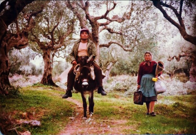 Our family has been producing pure extra virgin olive oil in Kalamata, Greece for over 100 years!