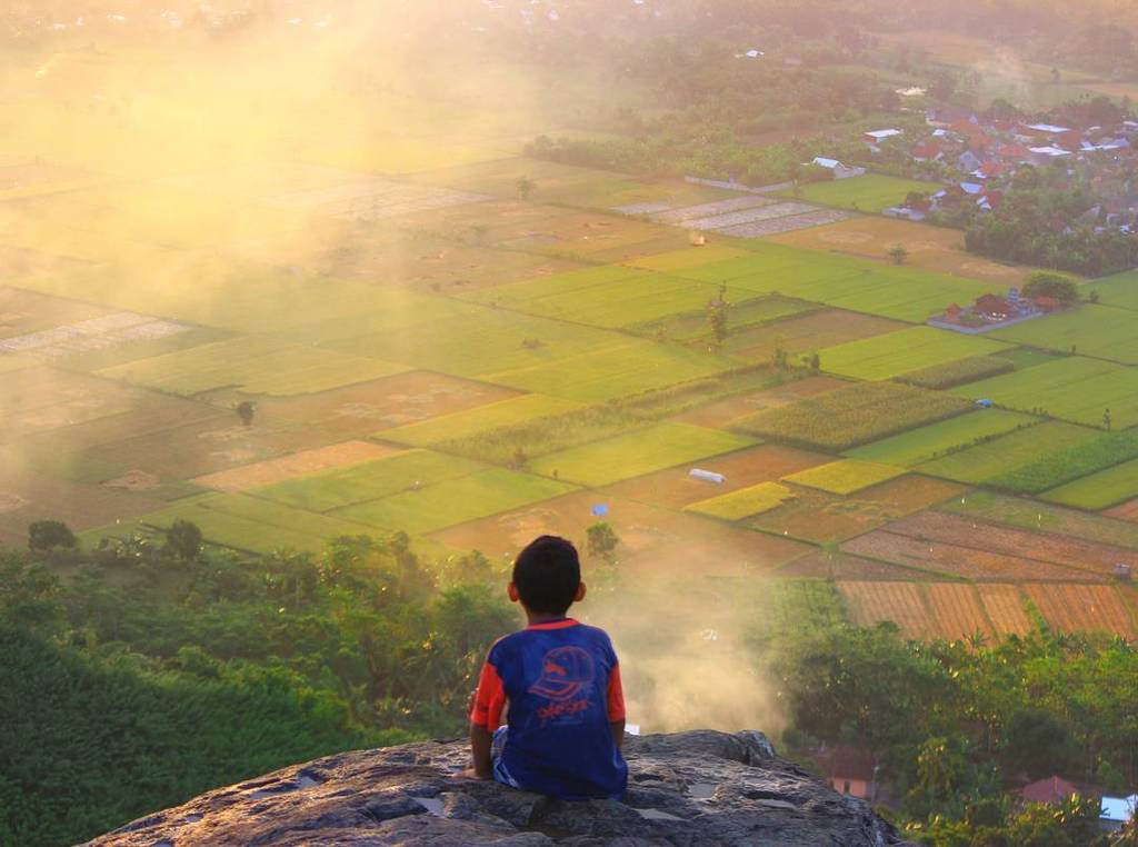 lombokfoto's tweet image. Indah,bersih dan alami👌
#ikece #nature_01 by al_bievie #lombokfoto