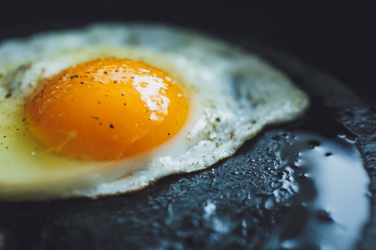 msmarketcoop's tweet photo. Local @LTDFarm duck eggs are on sale! Try one in a fried duck egg sandwiches: https://t.co/m23xH3jPUE #eatlocalSTP https://t.co/baraFbh3VR