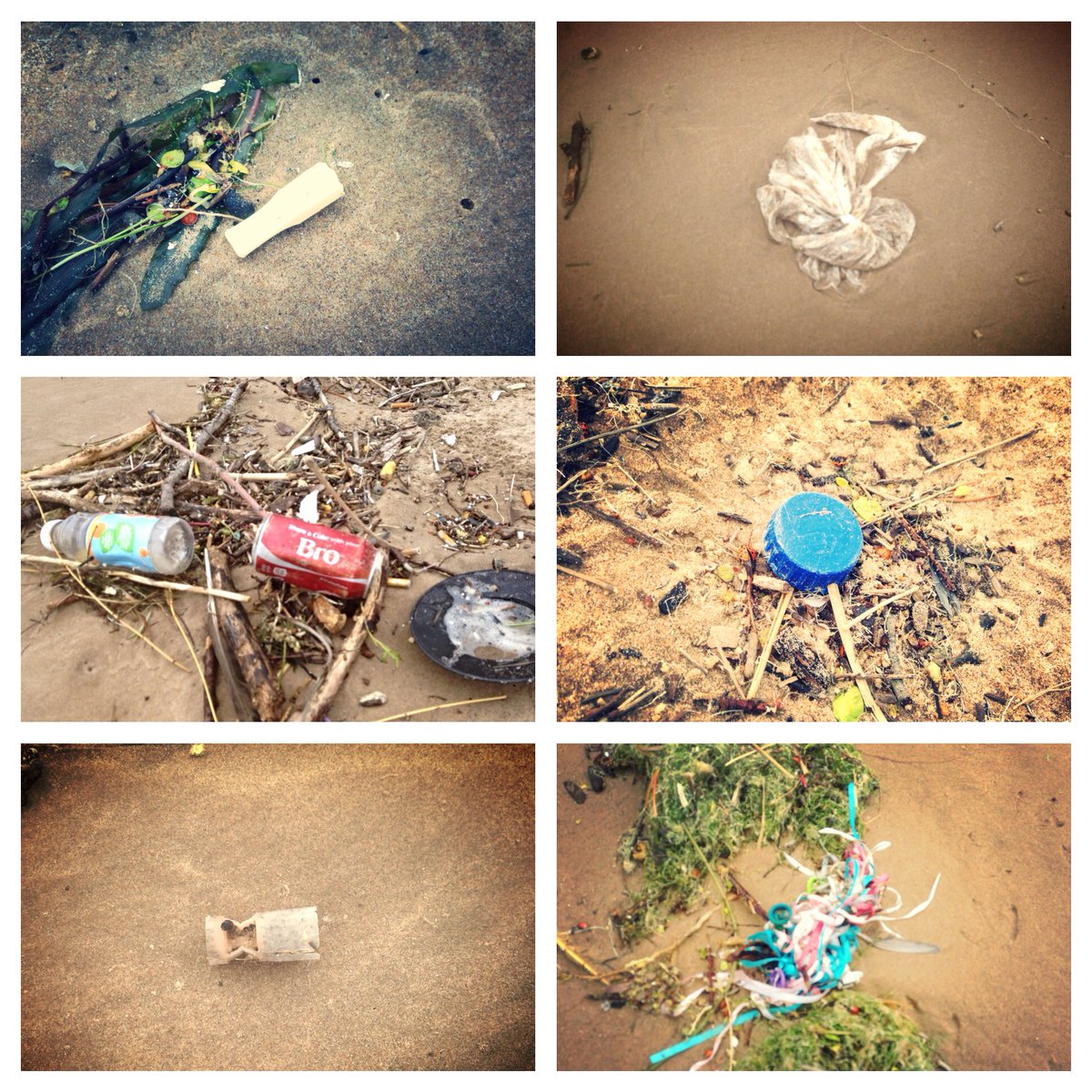 olga_lyandres's tweet photo. Some of gems we found at today's @A4GL #AAB cleanup with #UIC #Freshwaterlab and @SarahDNeville https://t.co/seQgQOq45S