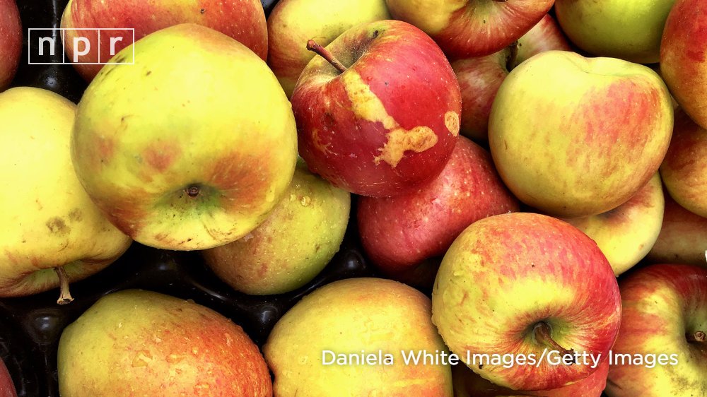 NPRFood's tweet photo. Some ugly fruits&amp;veg pack an extra nutritional punch courtesy of its own battles to survive https://t.co/hSqveNHDKA https://t.co/UQD2c84Lx1