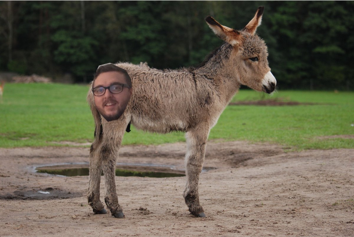 TheNationChris's tweet photo. This took me 20 minutes longer than it should have. #GimpProblems @JSBMjeanshorts https://t.co/QXNhTFax3U