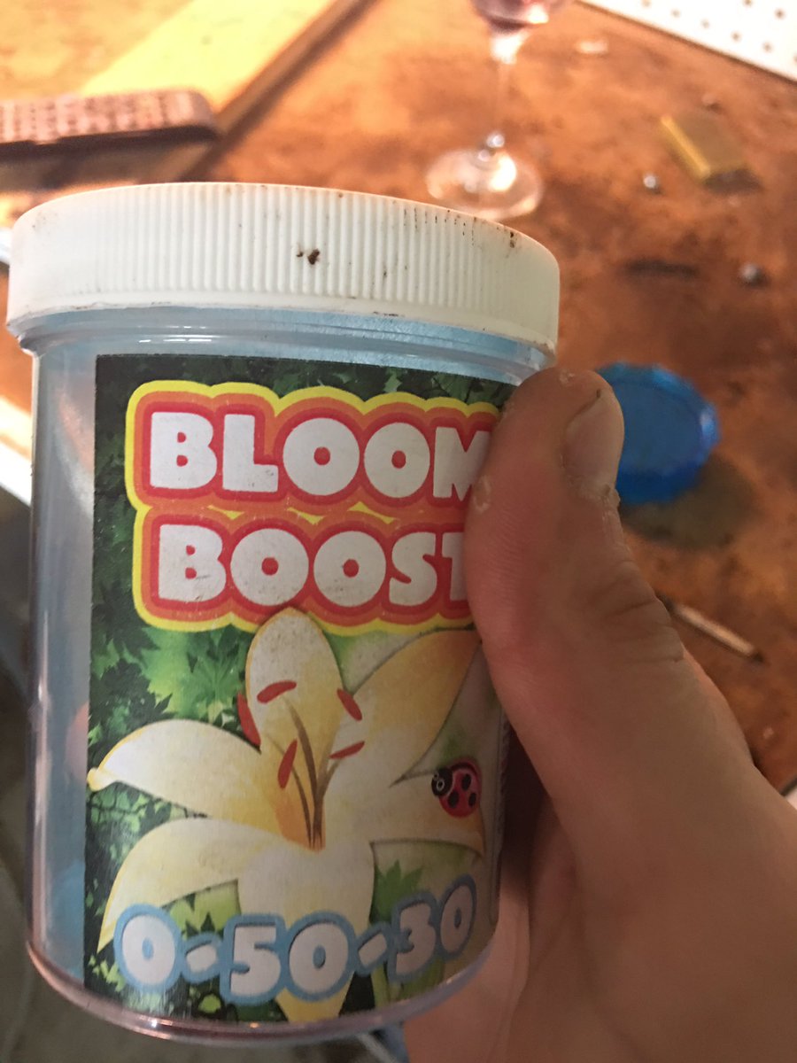 DANKLIFEE's tweet photo. This stuff works well. #bloomboost https://t.co/574UNOMF8n