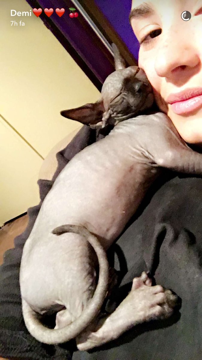 lovaticvs's tweet photo. Demi su Snapchat. #1 https://t.co/TJGtBA34W2
