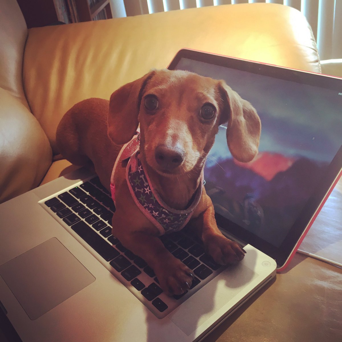 Just setting up my twttr