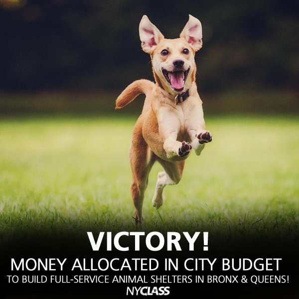 VICTORY! Mayor <a href="/BilldeBlasio/">Bill de Blasio</a>‘s budget 2 fund new shelters in Bronx &amp; Queens! Read statement: nyclass.org/newanimalshelt…