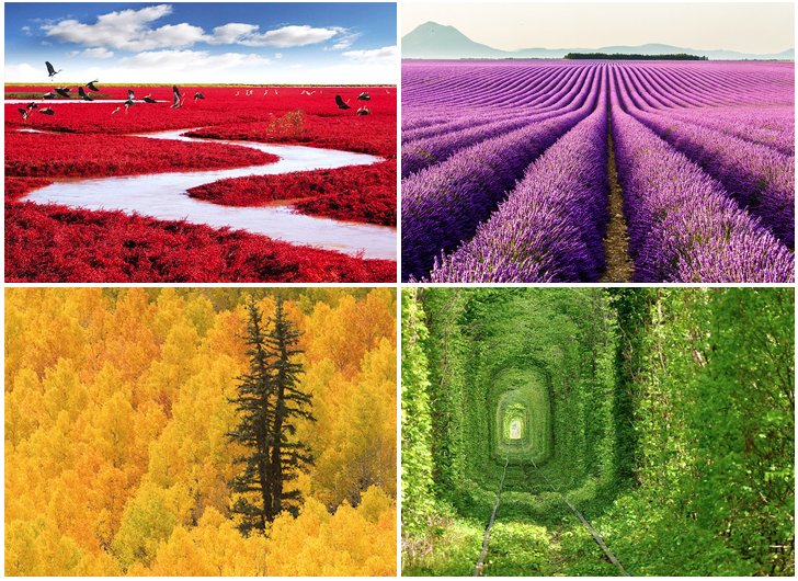 GirlsandTravel's tweet image. 44 Colourful Landscapes Highlighting the Unbelievably Natural Beauty of Earth
#Spring #Earth
mymodernmet.com/profiles/blogs…