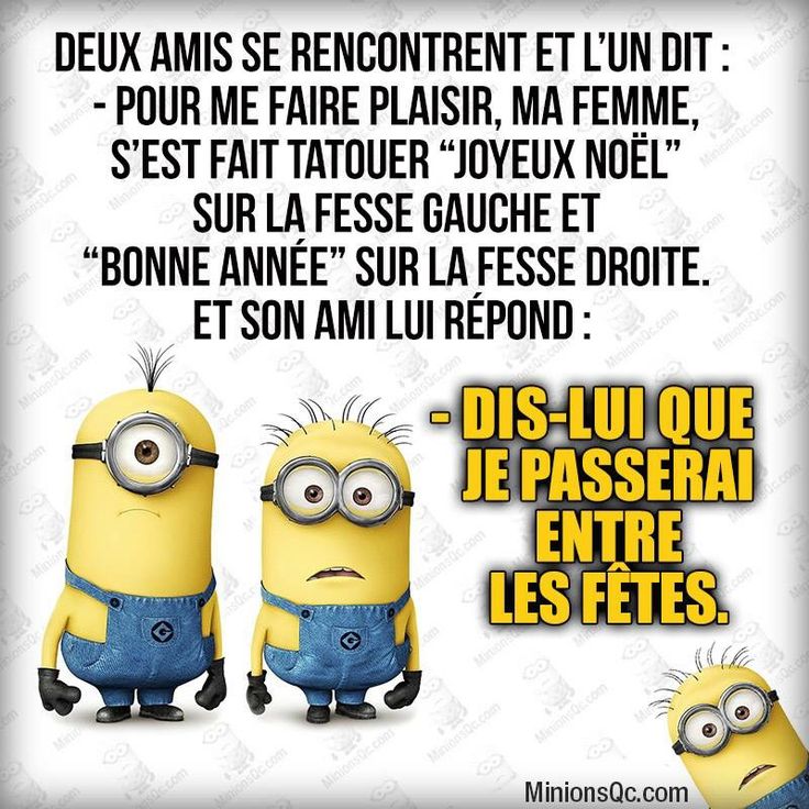 Belaid Belaid Imene Twitter