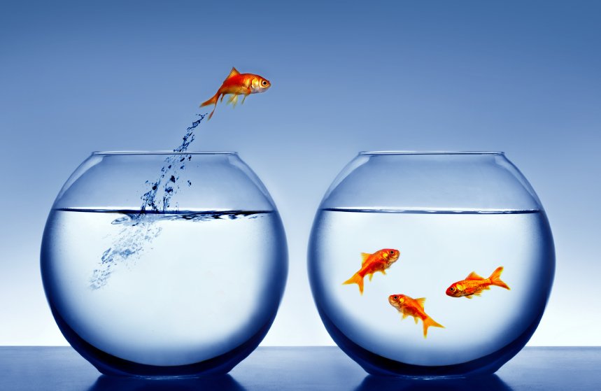 sales_aws's tweet photo. Join the people moving to AutoWarehouseSuite.  https://t.co/lwPNJSNSuI for #warehousemanagement #smallbusiness https://t.co/D0NX85K5b9