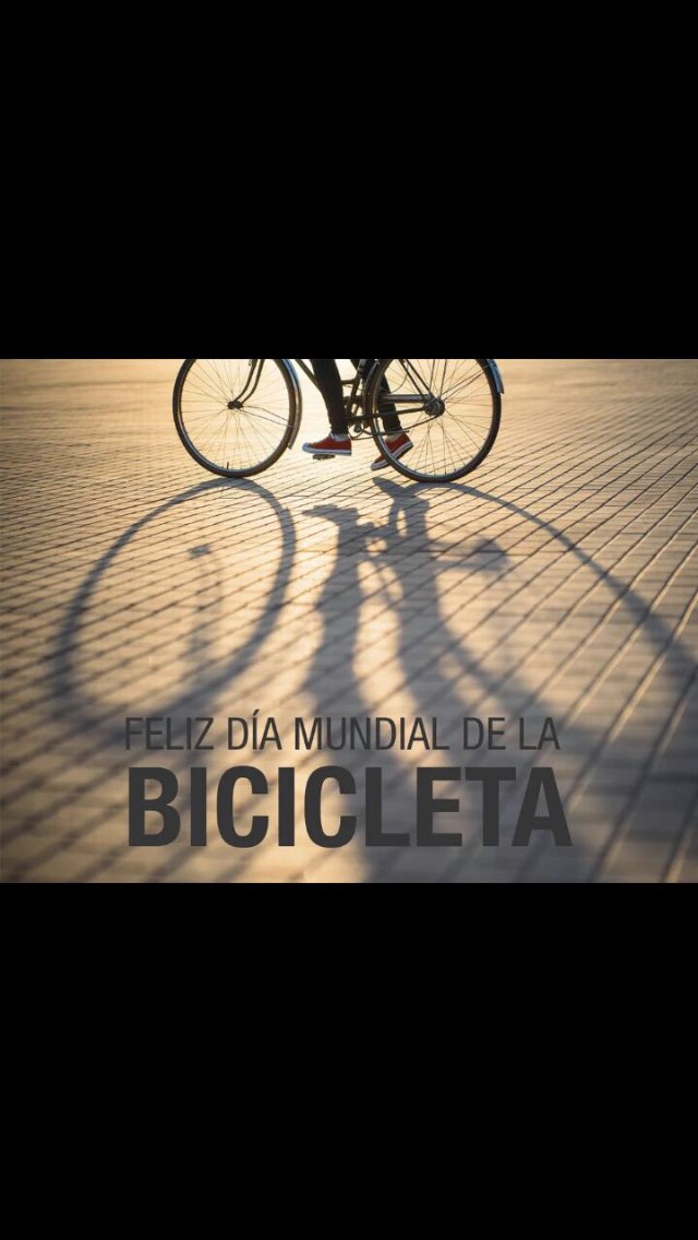 Feliz día de la bicicleta, burra, flaca, gorda😉, la consentida, para todas ellas dueñas de nuestro camino 🚴