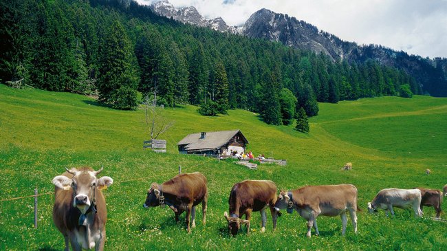 TURISTAGUT's tweet photo. Viaja a Maienfeld(Suiza)y conoce el mundo de su habitante más famosa!una tal...Heidi!!!Naturaleza en estado puro! https://t.co/ukR9GOGV7Y