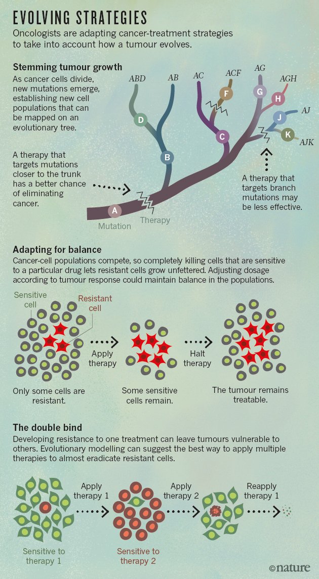 immuno_lulu's tweet image. Cancer viewed as an evolutionary process to guide tx strategies nature.com/news/cancer-th…