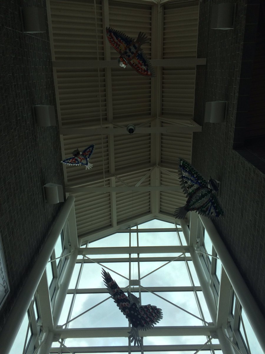 SC_Unity's tweet photo. The birds are flying! Thanks to all that were involved today and these past few months! https://t.co/gEK5AEYQF6