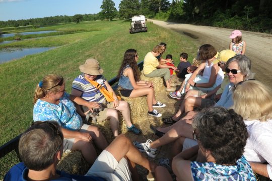 firstonthird's tweet image. Sign up for First@the Farm May 1! Dog trials, Stray Local band, hayrides and more: firstonthird.org/firstthefarm/